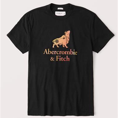 ABERCROMBIE & FITCH HCO 2023男生短袖T恤