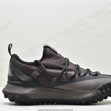 Nike ACG Mountain Fly Low GTX SE 