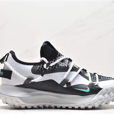 Nike ACG Mountain Fly Low GTX SE 