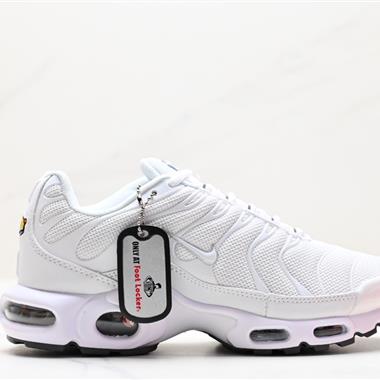 Nike Air Max Plus