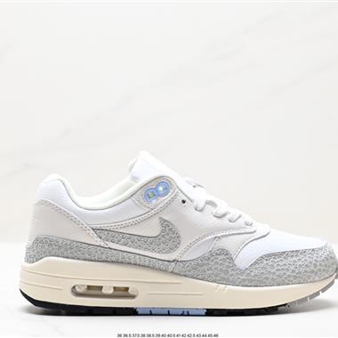 Nike Air Max 1  Air Max 