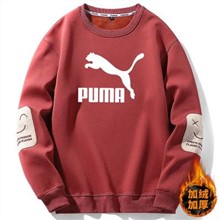 Puma 2023新款422762彪馬圓領衛絨-949_紅色