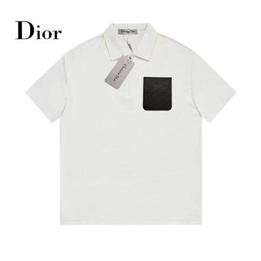 DIOR   2024夏季新款短袖POLO衫