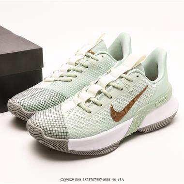 NIKE AMBASSADOR XIII 使節13 詹姆斯13代實戰籃球鞋 