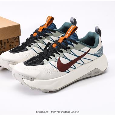 Nike PEGASUS TRAIL 5 GTX Next Nature 越野跑步鞋 