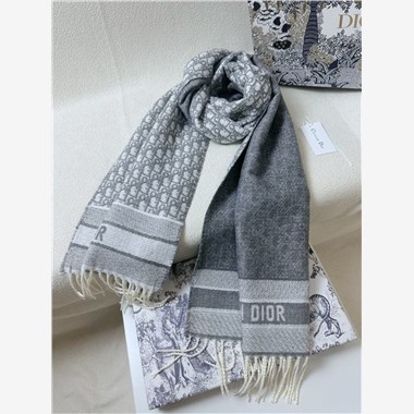 DIOR  2025秋冬新款時尚圍巾 尺寸：200-45