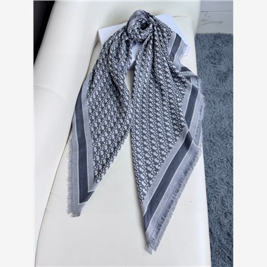 DIOR  2025秋冬新款時尚圍巾 尺寸：180-30