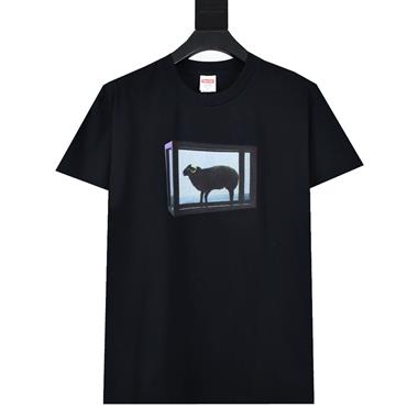 Supreme   2026夏季新款短袖T恤  尺寸偏大