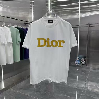 DIOR   2026夏季新款短袖T恤