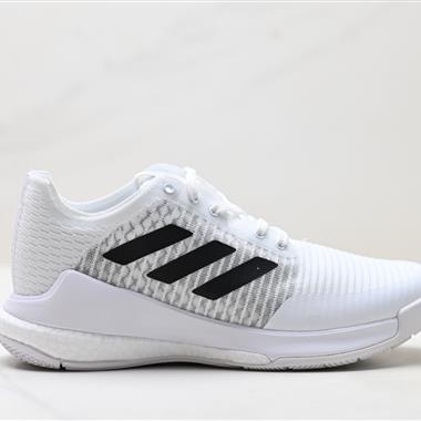 Adidas Crazyflight LOW 低幫輕便透氣排球鞋