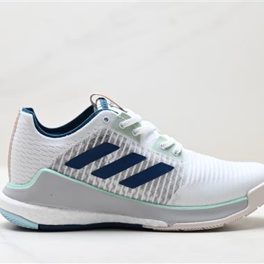 Adidas Crazyflight LOW 低幫輕便透氣排球鞋