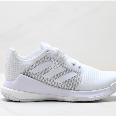 Adidas Crazyflight LOW 低幫輕便透氣排球鞋