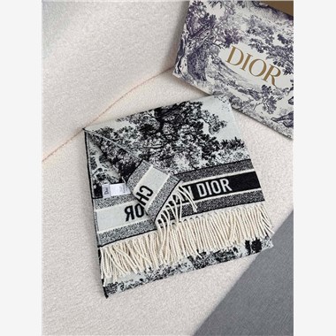 DIOR  2026秋冬新款時尚圍巾 尺寸：140-160