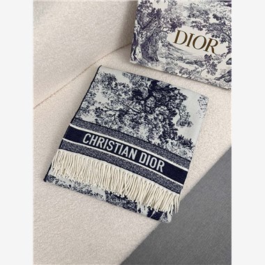 DIOR  2026秋冬新款時尚圍巾 尺寸：140-160