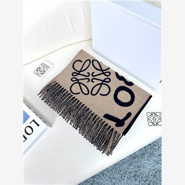 LOEWE  2026秋冬新款時尚圍巾   尺寸：180-30
